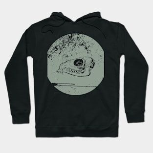 animal skull Hoodie